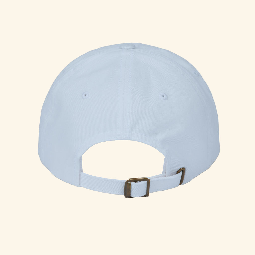 Lost Signal | Dad Hat